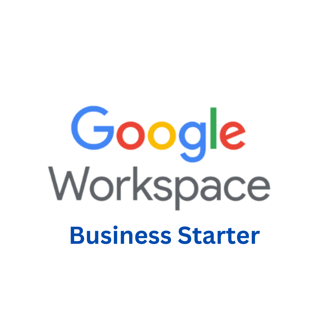 Google Workspace Business  Starter