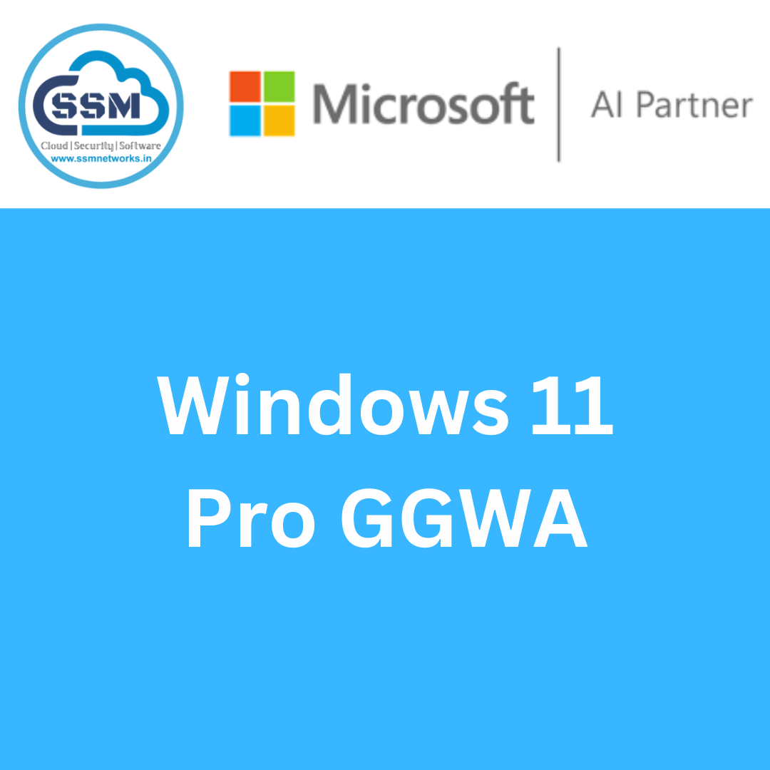 Windows 11 Pro GGWA-Paper License-One Time